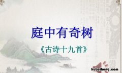 《庭中有奇树》的翻译是什么意思啊 庭中有奇树的古诗翻译是什么