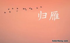 归雁属于什么类型的诗歌这首诗抒发了诗人怎样的情感 归雁这首诗是什么意思
