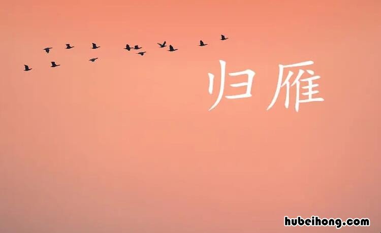 归雁属于什么类型的诗歌这首诗抒发了诗人怎样的情感 归雁这首诗是什么意思