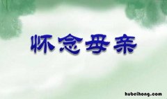 季羡林专集:怀念母亲的读后感怎么写 《怀念母亲》读后感作文