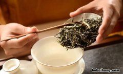 普洱茶用多少度水泡合适 普洱茶要多少度水泡最好