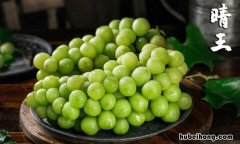 市面上的晴王葡萄是真的吗 晴王葡萄是什么葡萄