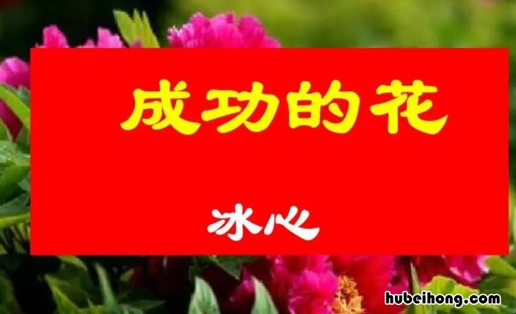 成功的花读后感受100字怎么写 成功的花读后感受100字作文