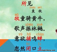 《所见》古诗原文是什么意思啊 《所见》古诗全文
