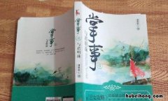 《掌事》的内容简介是什么呢 掌事主要讲什么