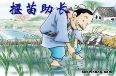 揠苗助长 揠苗助长的全文解释