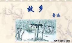 故乡的读后感怎么写 《故乡》读后感受