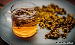 昆仑雪菊的功效与作用是什么? 昆仑雪菊的功效与作用及禁忌