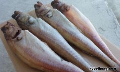 明太鱼和鳕鱼是一回事吗 明太鱼和鳕鱼是一个品种吗