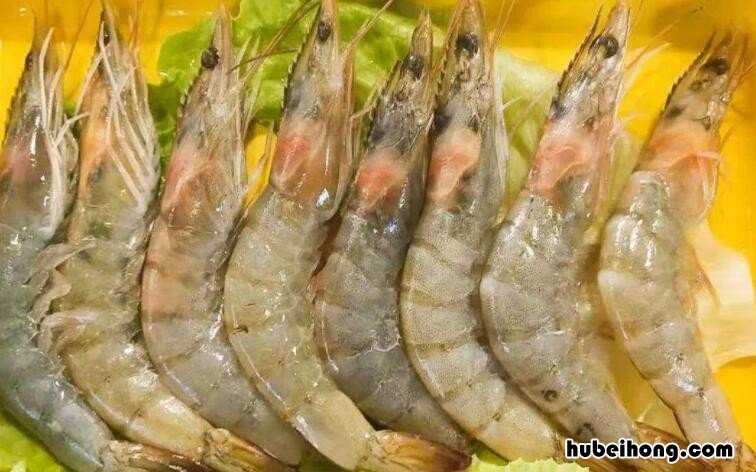 明虾和基围虾哪个更贵 明虾和基围虾哪个好?