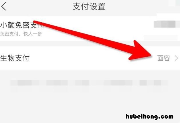 淘宝怎么开通面容支付方式 淘宝怎么开启面容支付功能