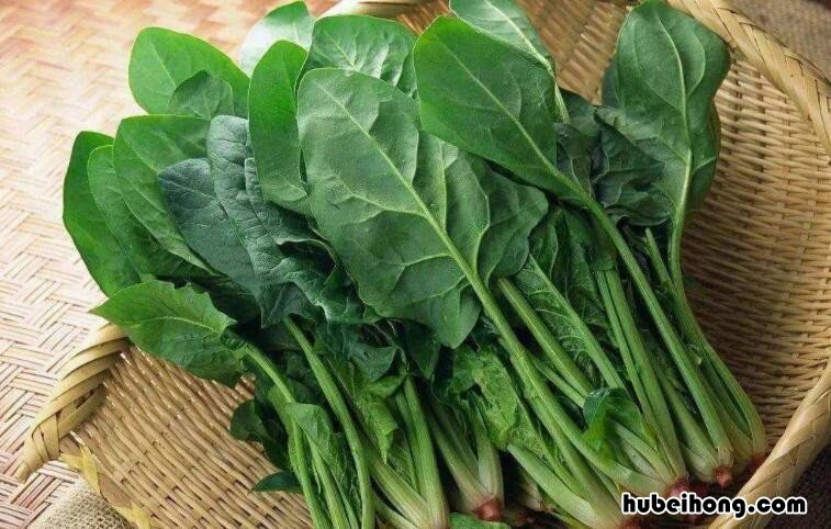 胃不好的人吃什么菜养胃 胃不好夏天吃什么菜好
