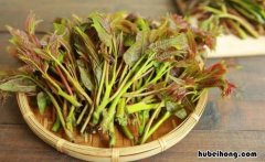 春天的美食有哪些图片幼儿园 春天的美食有哪些简笔画