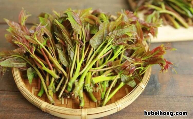 春天的美食有哪些图片幼儿园 春天的美食有哪些简笔画