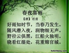 《春夜喜雨》诗句是什么意思啊 《春夜喜雨》的诗句是什么?