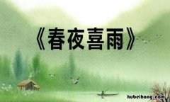 读《春夜喜雨》有感 春夜喜雨 古诗读后感