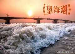 《望海潮》中的钱塘指今天的哪里 刘勇的《望海潮》中的钱塘是指今天的