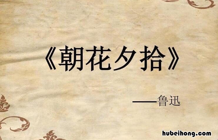 朝花夕拾十篇文章的题目 朝花夕拾的篇目名称