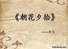 朝花夕拾好句初中 朝花夕拾,好词摘抄