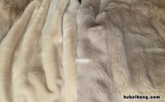 环保毛领和真毛领哪个好看 环保毛领是什么材料