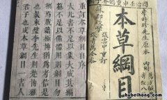 本草纲目的历史价值和成就 试述《本草纲目》的主要成就和贡献