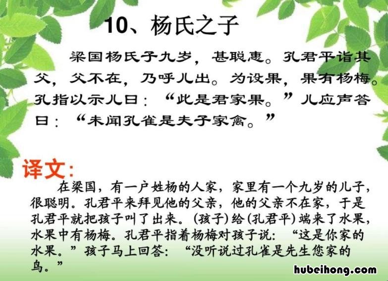 杨氏之子意思50字 杨氏之子的意思20字