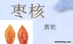 枣核这篇故事告诉我们什么道理 枣核这一课的道理