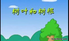 树叶和树根告诉我们什么道理20字 树叶和树根告诉我们什么道理作文