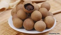 桂圆核仁的功效 桂圆核有啥功效