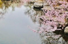 桃花溪这首诗是什么意思? 桃花溪这首古诗是什么意思