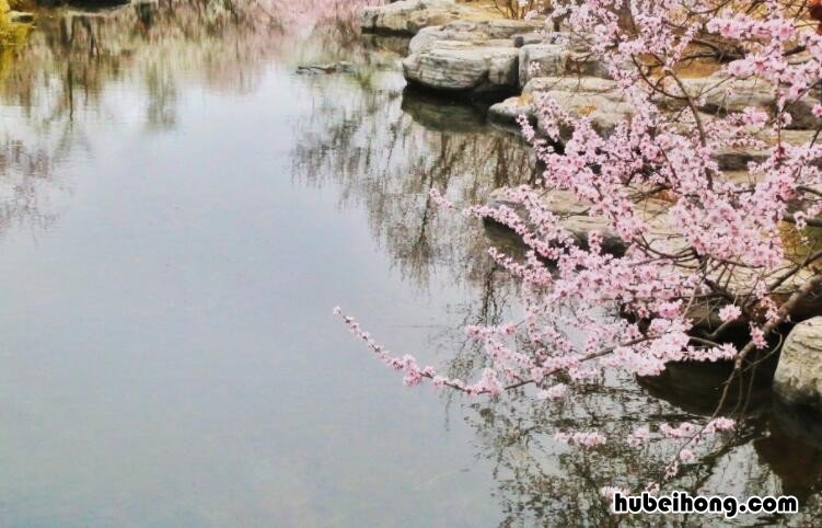 桃花溪这首诗是什么意思? 桃花溪这首古诗是什么意思