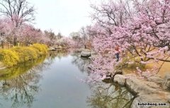 桃花溪古诗解释 桃花溪译文和注释