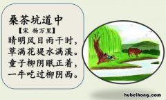 桑茶坑道中蕴含了怎样的情感 桑茶坑道中描写的是什么的景象