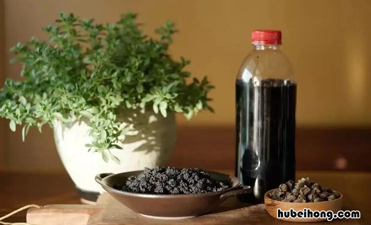 桑葚泡酒一定要晒干吗 桑葚干泡酒需要泡多少天
