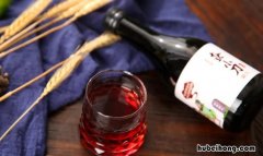 桑葚酒最多能放多久 桑葚酒可以存放几年