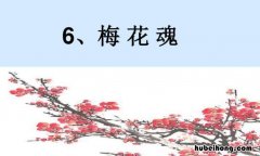 《梅花魂》读后感怎么写100字 《梅花魂》读后感怎么写三年级