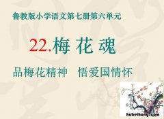 部编版梅花魂教案设计特等奖 部编版梅花魂教学设计一等奖