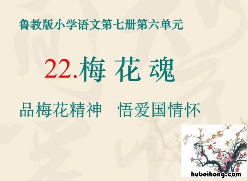 部编版梅花魂教案设计特等奖 部编版梅花魂教学设计一等奖