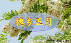 槐乡五月节选的阅读答案 槐乡五月作者是谁
