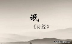 氓对爱情的理解 氓表达的情感