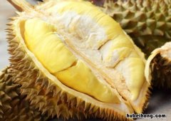 榴莲开出来的肉没熟怎么办 榴莲开了肉还没有熟怎么办