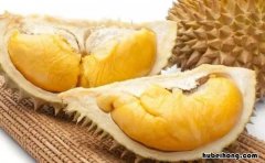 泰国榴莲有几个品种名称 泰国榴莲品种名称