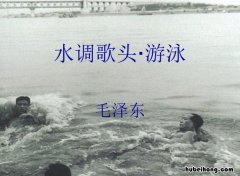 水调歌头游泳中的一桥指的是什么 水调歌头游泳中一桥指的是哪座桥