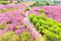 重庆必去的景点 重庆必去的12个景点
