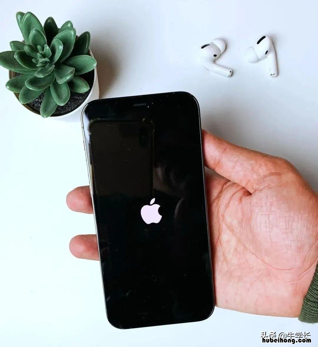 苹果开机为什么一直白苹果一样闪屏 iphone开机一直白苹果闪烁