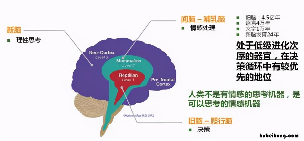 想玩手机又不想玩手机怎么办 就是想玩手机不想学