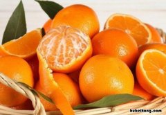 一个橙子和一个苹果哪个重 一个橙子和一个苹果的故事