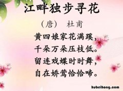江畔独步寻花的译文怎么写 江畔独步寻花的诗意和译文