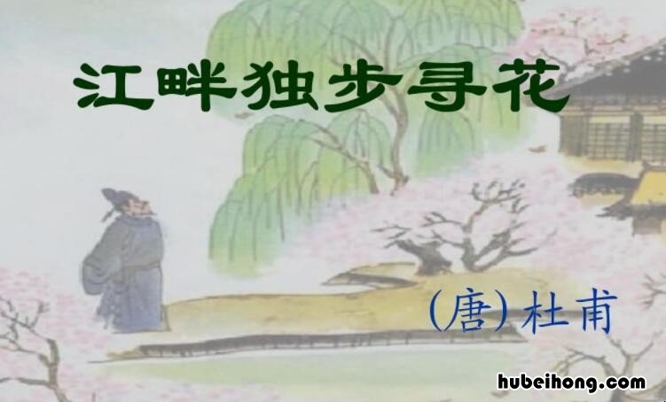 江畔独步寻花七绝句百科 江畔独步寻花七绝句意思翻译
