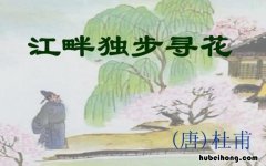 江畔独步寻花其六是什么季节的诗 《江畔独步寻花》是什么季节的诗